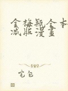 金梅瓶全本无删减版漫画