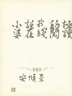 小说我的极品老婆在线阅读