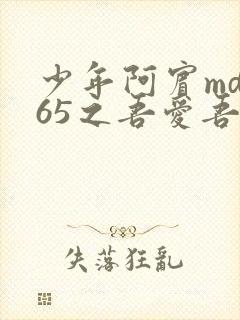 少年阿宾md165之吾爱吾师