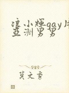 浪小辉gay片亚洲男男