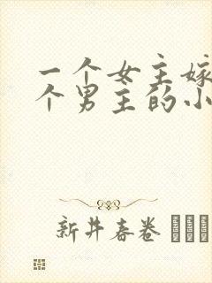 一个女主嫁给多个男主的小说