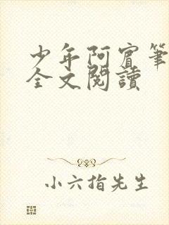 少年阿宾笔趣阁全文阅读封面