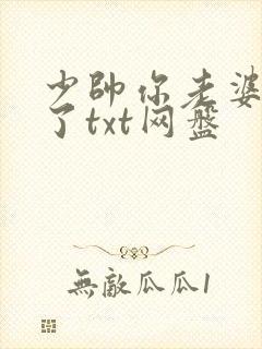 少帅你老婆又跑了txt网盘