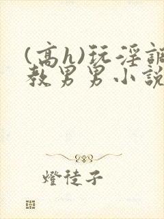 (高h)玩淫调教男男小说封面