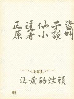 正道仙子皆为奴原著小说叫什么名字