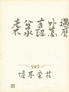 老公有外遇但他不承认怎么办