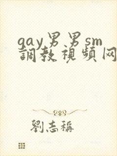 gay男男sm调教视频网站