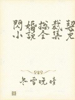 闪婚总裁契约妻小说全集免费阅读