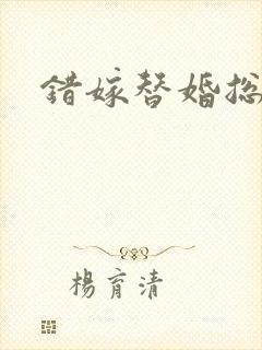 错嫁替婚总裁