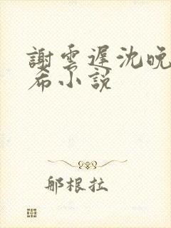 谢云迟沈晚梨叶希小说