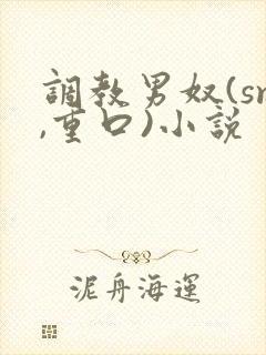 调教男奴(sm,重口)小说