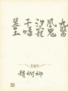 慕千汐凰九夜邪王嗜宠鬼医狂妃无弹窗