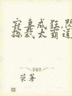 宠妻成狂,闪婚总裁太霸道封面