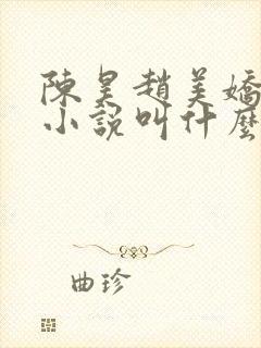 陈昊赵美娇白慧小说叫什么名