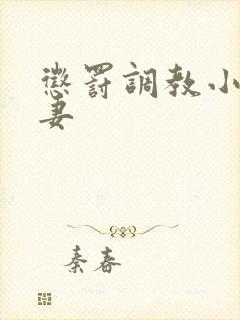 惩罚调教小说夫妻