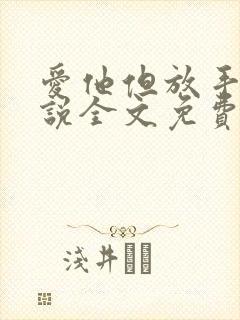 爱他但放手了小说全文免费阅读