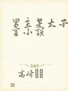 男主是太子的古言小说