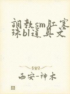 调教sm肛塞拉珠bl道具文