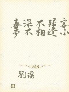 春深不归客,清梦不相逢小说阅读