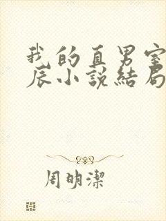我的直男室友张辰小说结局