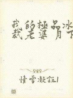 我的极品冰山总裁老婆 月下火