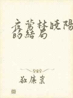 夜莺林晓阳最后的结局