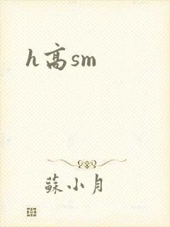h高sm