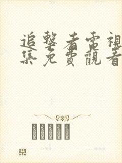 追击者电视剧全集免费观看完整版