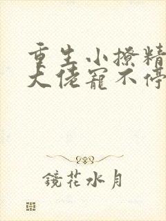 重生小撩精偏执大佬宠不停