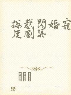 总裁闪婚宠妻无度剧集