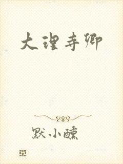 大理寺卿封面