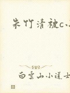 朱竹清被c小说