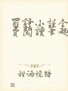 罗铮小说全文免费阅读笔趣阁