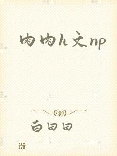 肉肉h文np
