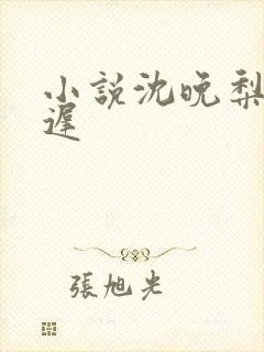 小说沈晚梨谢云迟