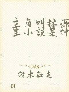 主角叫林源的重生小说是什么
