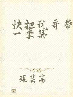 快把我哥带走第一季集