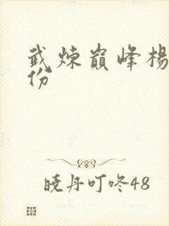 武炼巅峰杨开身份