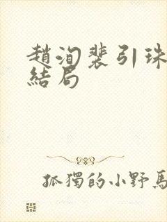 赵洵裴引珠宸妃结局封面