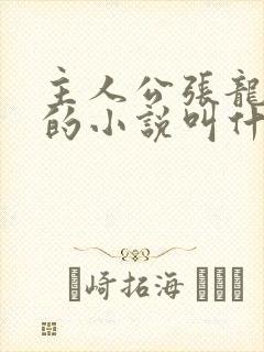 主人公张龙周晴的小说叫什么名字