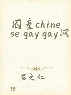 国产chinese gay gay网站