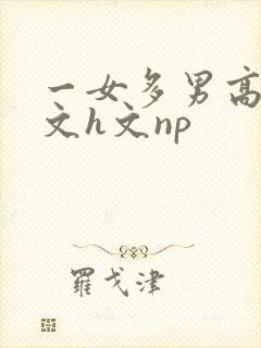 一女多男高辣h文h文np