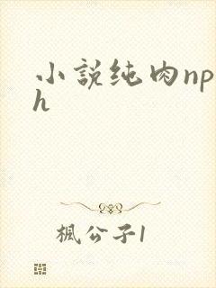 小说纯肉np高h