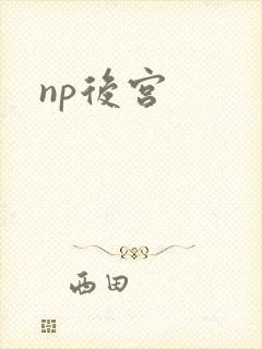 np后宫