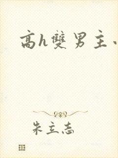 高h双男主小说