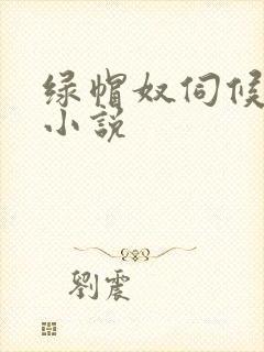 绿帽奴伺候老婆小说