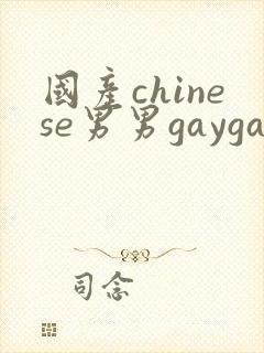 国产chinese男男gaygayvideo