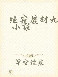 绝宠废材九小姐 小说
