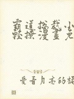 霸道总裁小叔请轻撩漫画免费下拉式六漫画