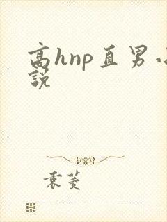 高hnp直男小说